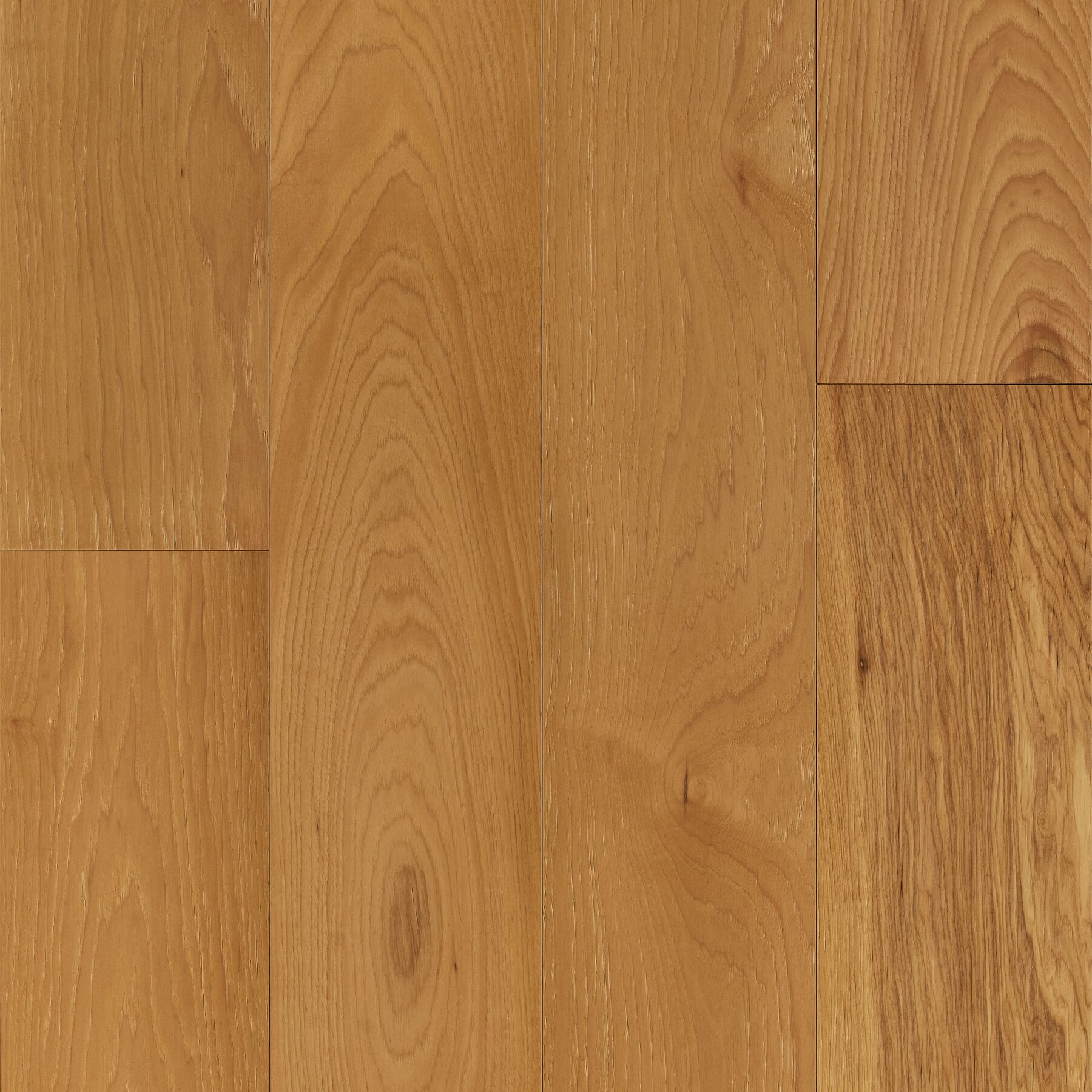 Auggie 8 1/2" Hickory - EHDG85L11W Auggie Dogwood Densified Wood Flooring that's Pet Friendly
