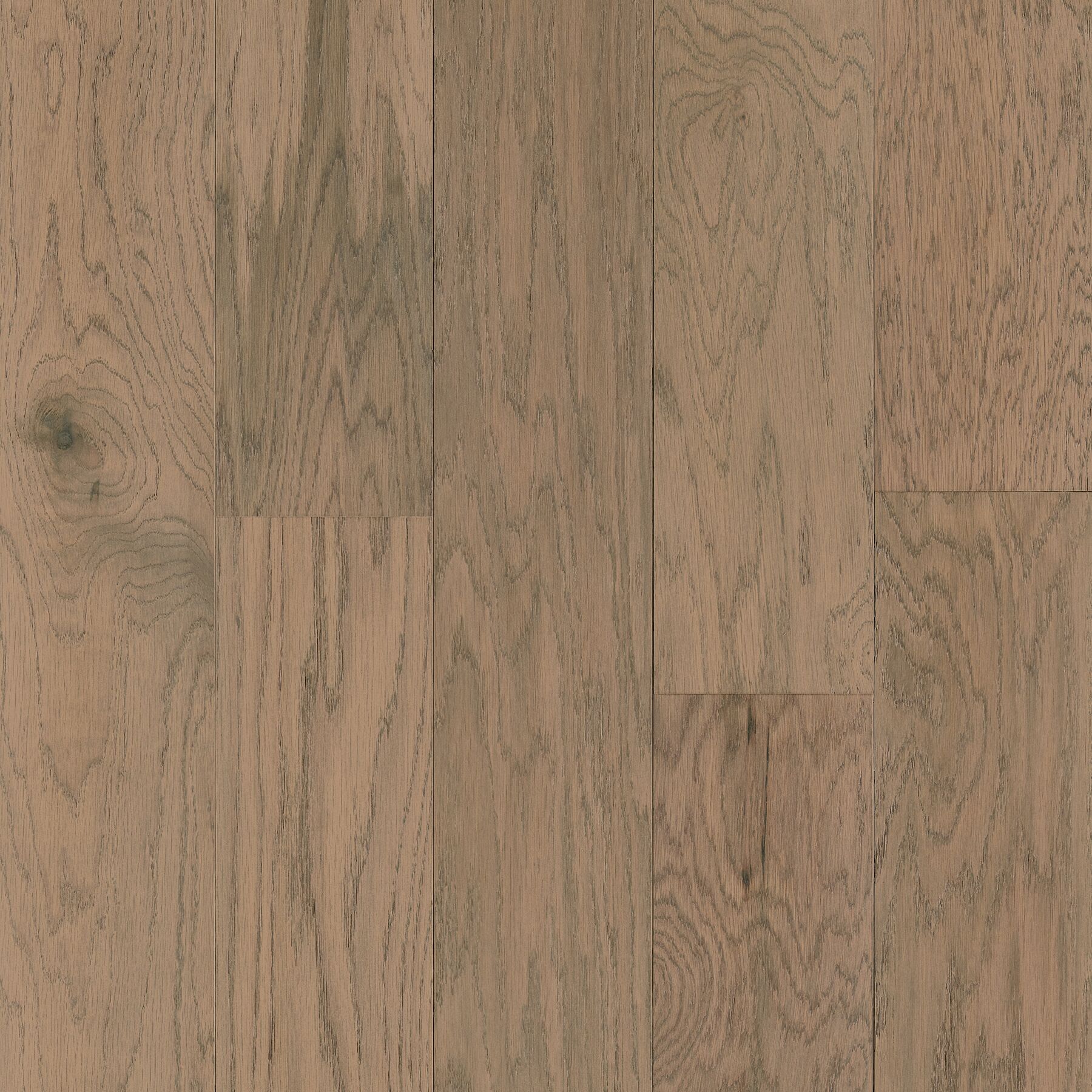 Shepherd 6 1/2" White Oak - EKDG63L02W Shepherd Dogwood Pet-Friendly Wood Flooring with densified wood