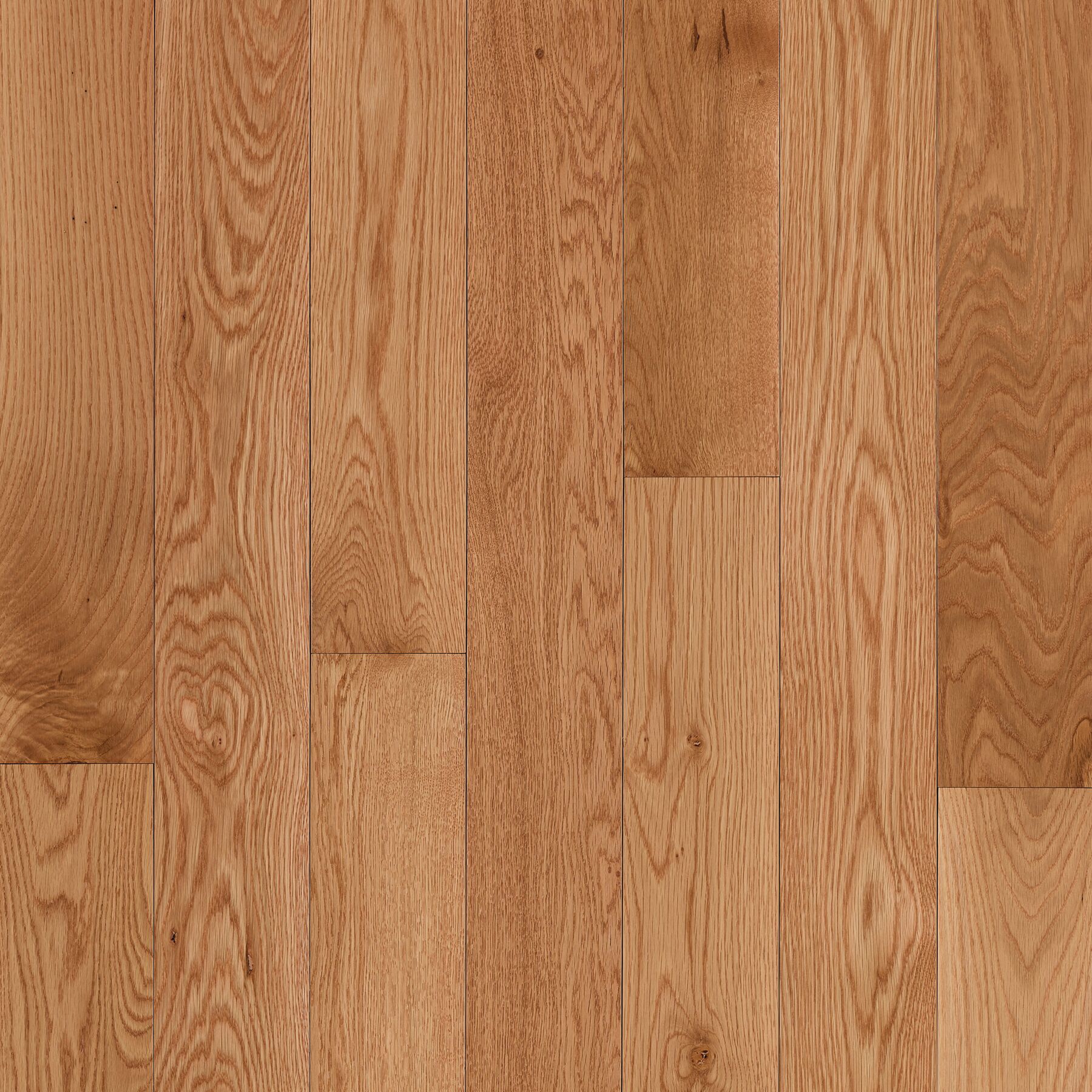 Dundee Seashell Solid Hardwood CB1230LG