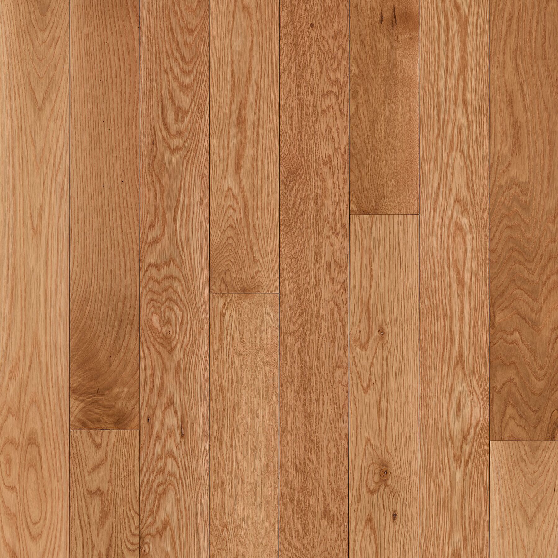 Dundee Seashell Solid Hardwood CB230LG