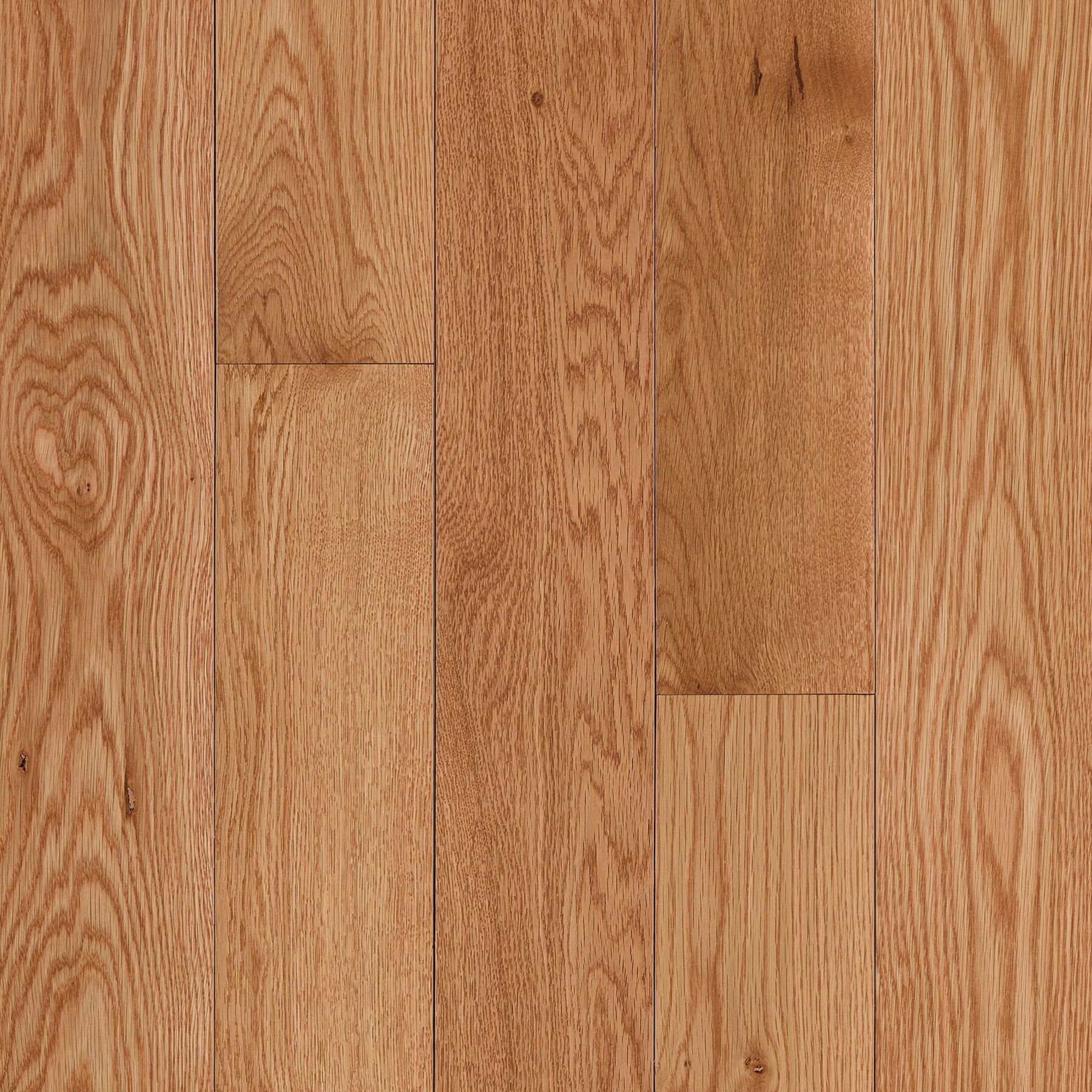 Dundee Seashell Solid Hardwood CB5530LG
