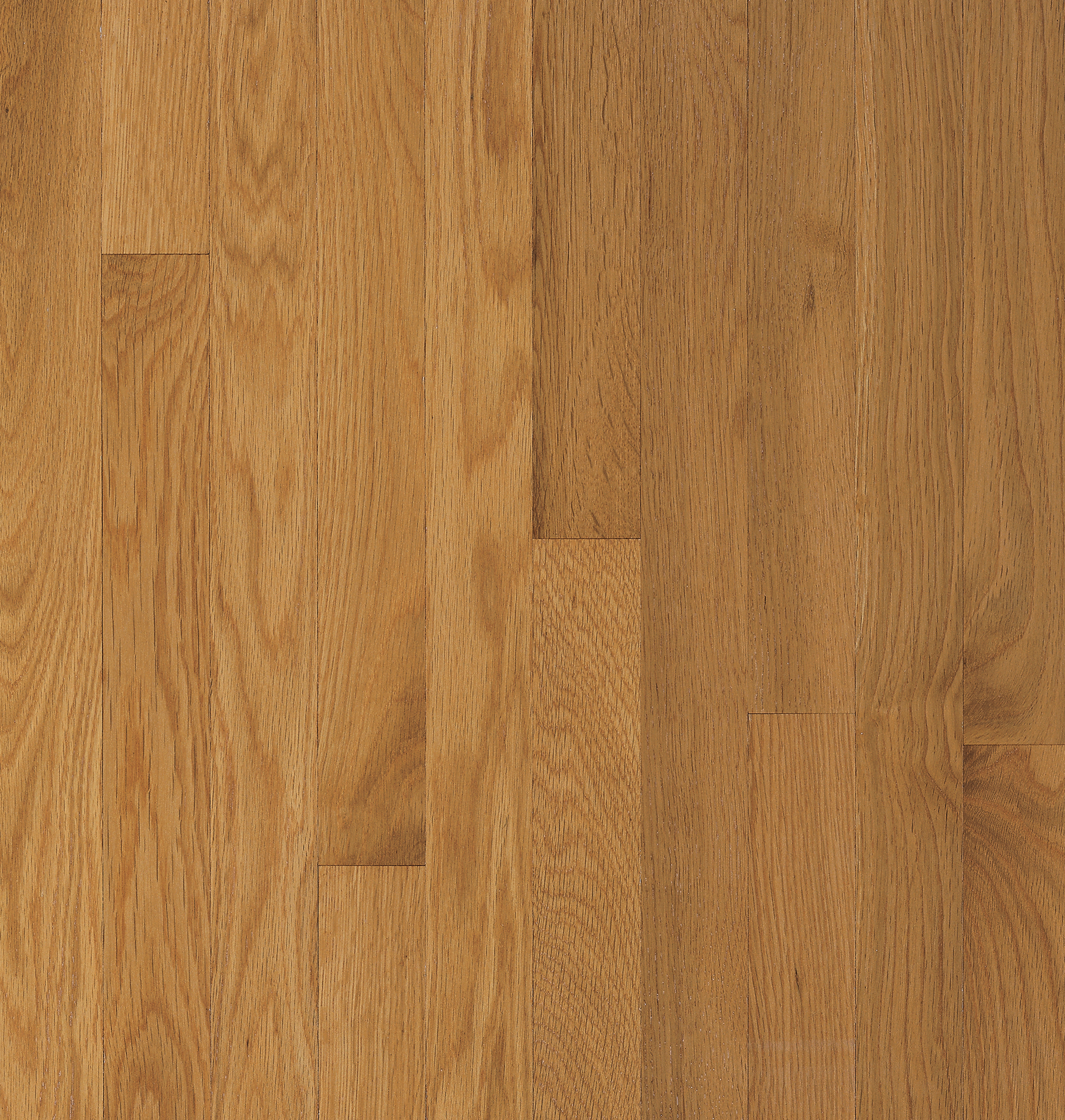 Waltham Cornsilk Solid Hardwood C8239